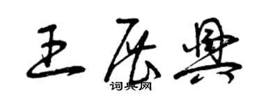 曾庆福王展兴草书个性签名怎么写