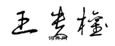 曾庆福王贵权草书个性签名怎么写