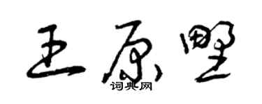 曾庆福王原野草书个性签名怎么写
