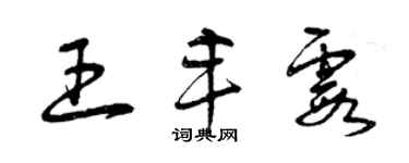 曾庆福王丰霞草书个性签名怎么写