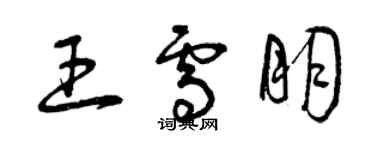 曾庆福王雪朋草书个性签名怎么写