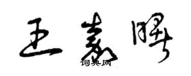 曾庆福王嘉曙草书个性签名怎么写