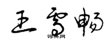 曾庆福王雪畅草书个性签名怎么写