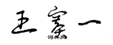 曾庆福王赛一草书个性签名怎么写