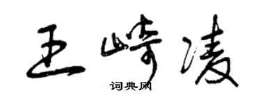 曾庆福王崎凌草书个性签名怎么写
