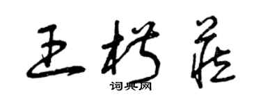 曾庆福王椒藏草书个性签名怎么写
