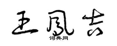 曾庆福王凤吉草书个性签名怎么写