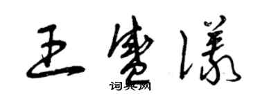 曾庆福王盛仪草书个性签名怎么写