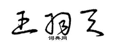 曾庆福王羽天草书个性签名怎么写