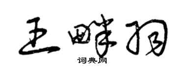 曾庆福王畔羽草书个性签名怎么写