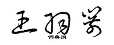 曾庆福王羽箭草书个性签名怎么写