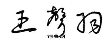 曾庆福王声羽草书个性签名怎么写
