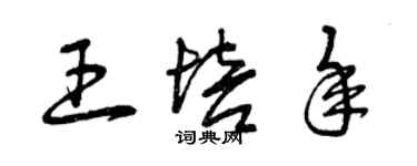 曾庆福王培年草书个性签名怎么写
