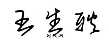 朱锡荣王生耿草书个性签名怎么写