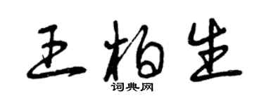曾庆福王柏生草书个性签名怎么写