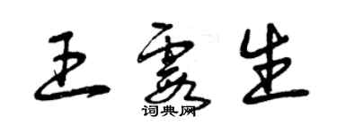 曾庆福王霞生草书个性签名怎么写