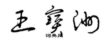 曾庆福王宝洲草书个性签名怎么写