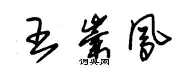 朱锡荣王崇凤草书个性签名怎么写