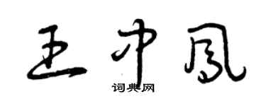 曾庆福王中凤草书个性签名怎么写