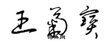 曾庆福王菊宝草书个性签名怎么写