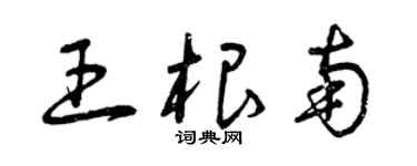 曾庆福王根南草书个性签名怎么写