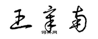 曾庆福王章南草书个性签名怎么写