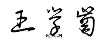 曾庆福王学岗草书个性签名怎么写
