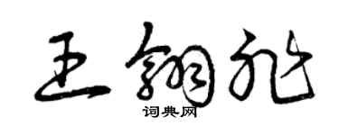 曾庆福王翎非草书个性签名怎么写