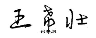 曾庆福王希壮草书个性签名怎么写