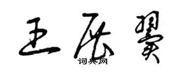 曾庆福王展翼草书个性签名怎么写