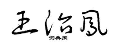 曾庆福王治凤草书个性签名怎么写