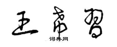 曾庆福王希习草书个性签名怎么写