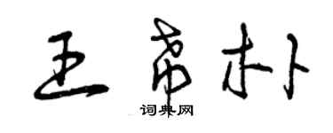 曾庆福王希朴草书个性签名怎么写