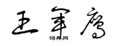 曾庆福王军鹰草书个性签名怎么写