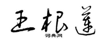 曾庆福王根莲草书个性签名怎么写