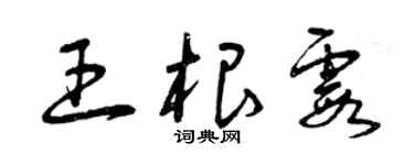曾庆福王根霞草书个性签名怎么写