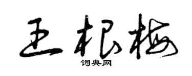 曾庆福王根梅草书个性签名怎么写