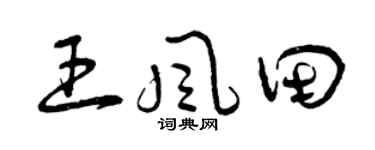 曾庆福王风田草书个性签名怎么写