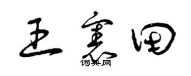 曾庆福王宪田草书个性签名怎么写