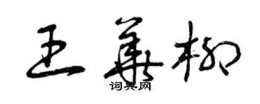 曾庆福王华柳草书个性签名怎么写