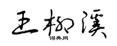 曾庆福王柳溪草书个性签名怎么写