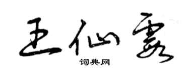 曾庆福王仙霞草书个性签名怎么写