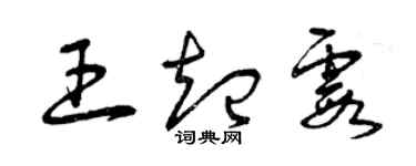 曾庆福王起霞草书个性签名怎么写