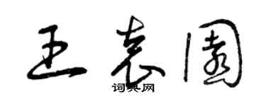 曾庆福王袁园草书个性签名怎么写