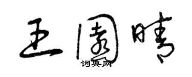 曾庆福王园晴草书个性签名怎么写