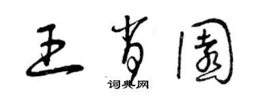 曾庆福王肖园草书个性签名怎么写