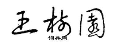 曾庆福王树园草书个性签名怎么写