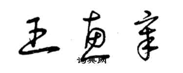 曾庆福王惠章草书个性签名怎么写