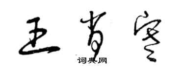 曾庆福王肖寒草书个性签名怎么写