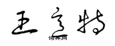 曾庆福王意特草书个性签名怎么写